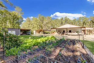 22 Mt Zion Rd, New Waverly, TX 77358 - Photo 38