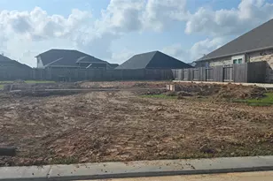 505 Pinot Noir Dr, Alvin, TX 77511 - Photo 18