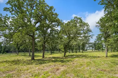 6900 Waldeck Cemetery Road, Round Top, TX 78954 - Photo 6