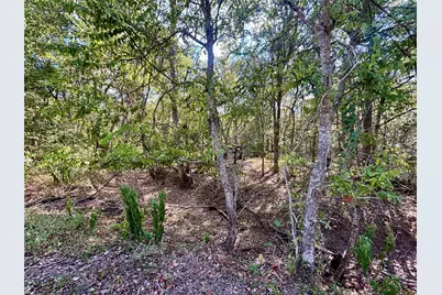 Tbd Bateman Road, Red Rock, TX 78662 - Photo 14