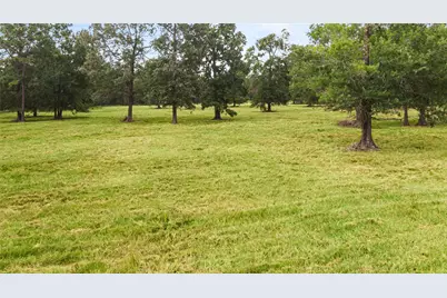 0 Turtle Road, Wallisville, TX 77597 - Photo 8