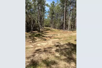 462 Timber Rd, Livingston, TX 77351 - Photo 6