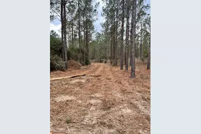 462 Timber Rd, Livingston, TX 77351 - Photo 10
