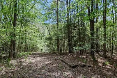 1290 Spring Ridge Road, Coldspring, TX 77331 - Photo 46
