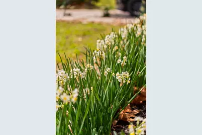 10042 Lazy Oaks Street, Houston, TX 77080 - Photo 6