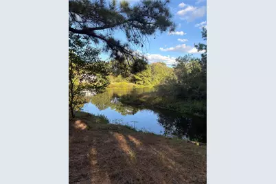 000 Moose Drive, Hempstead, TX 77445 - Photo 4