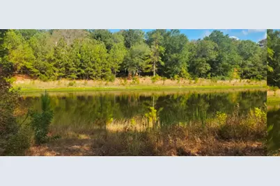 000 Moose Drive, Hempstead, TX 77445 - Photo 16