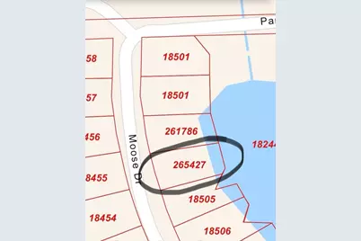 000 Moose Drive, Hempstead, TX 77445 - Photo 2