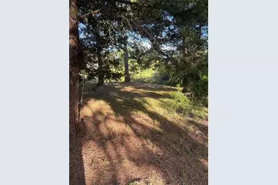 000 Moose Drive, Hempstead, TX 77445 - Photo 8