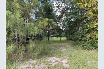 21269 Bracewell Road, Bedias, TX 77831 - Photo 8