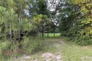 21269 Bracewell Rd, Bedias, TX 77831 - Photo 8