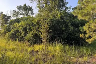 21269 Bracewell Rd, Bedias, TX 77831 - Photo 14