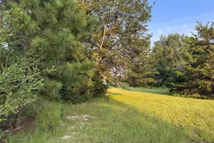 21269 Bracewell Rd, Bedias, TX 77831 - Photo 10