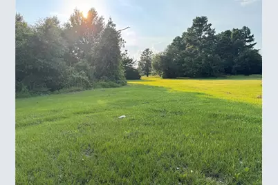 21269 Bracewell Road, Bedias, TX 77831 - Photo 4