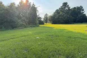 21269 Bracewell Rd, Bedias, TX 77831 - Photo 4