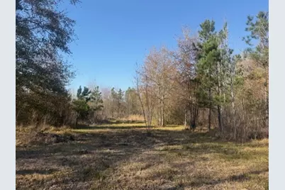 761 County Road 3556, Cleveland, TX 77327 - Photo 2