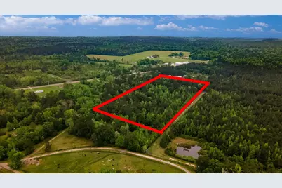 Tbd Shaw Road, Batson, TX 77519 - Photo 22