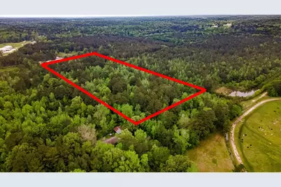 Tbd Shaw Road, Batson, TX 77519 - Photo 10