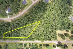 14762 FM 1774, Plantersville, TX 77363 - Photo 1