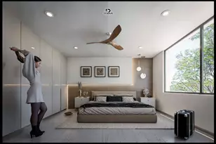 33 Av Punta Mita, Almont, CO 63732 - Photo 16