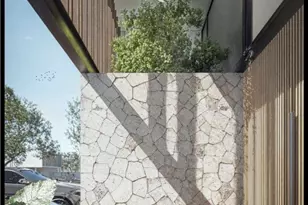 33 Av Punta Mita, Almont, CO 63732 - Photo 4