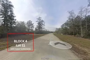 305 Iron Horse Rd, Willis, TX 77378 - Photo 1