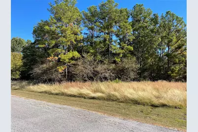 40 Knight Lane Drive, Coldspring, TX 77331 - Photo 4