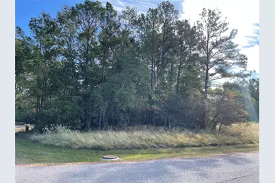 40 Knight Lane Drive, Coldspring, TX 77331 - Photo 1