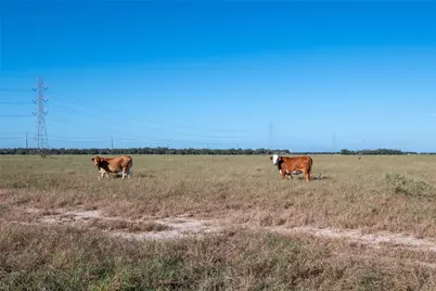0 County Road 273, Edna, TX 77957 - Photo 16