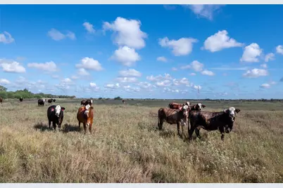 0 County Road 273, Edna, TX 77957 - Photo 14
