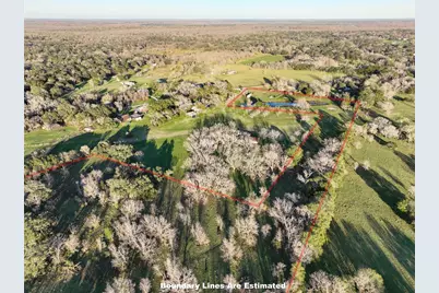 4995 County Road 356, Brazoria, TX 77422 - Photo 8