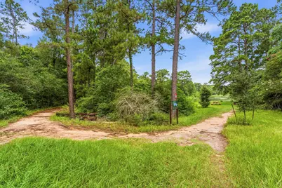27730 Geneva Hills Lane, Spring, TX 77386 - Photo 38