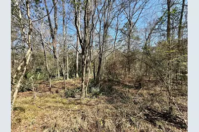 0 Redbud Drive, Conroe, TX 77302 - Photo 2