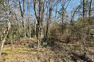 0 Redbud Dr, Conroe, TX 77302 - Photo 2