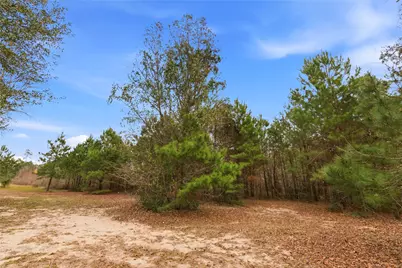 1603 Baker Drive, Tomball, TX 77375 - Photo 26