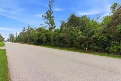 1603 Baker Drive, Tomball, TX 77375 - Photo 30