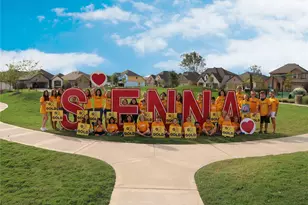 1615 Forest Mist Dr, Missouri City, TX 77459 - Photo 4