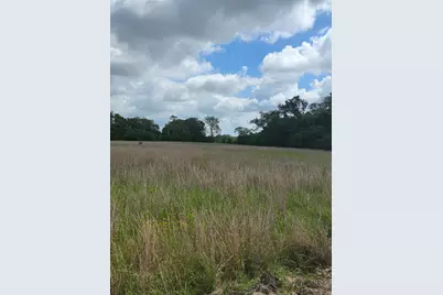 Tbd Lot 8 County Road 201, Plantersville, TX 77363 - Photo 2