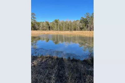 23511 Saratoga Woods Drive, Montgomery, TX 77316 - Photo 2