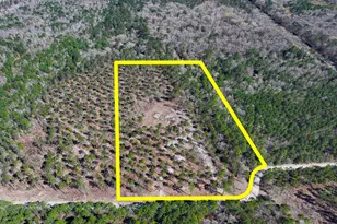 2 Boontown Rd, Trinity, TX 75845 - Photo 1