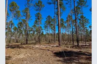 2 Boontown Road, Trinity, TX 75845 - Photo 8