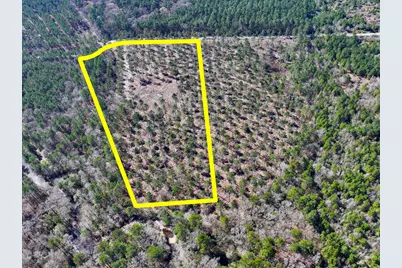 2 Boontown Road, Trinity, TX 75845 - Photo 12