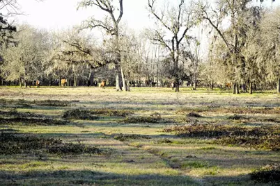1458 Fm-1458, Pattison, TX 77423 - Photo 16