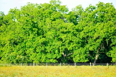 1458 Fm-1458, Pattison, TX 77423 - Photo 6