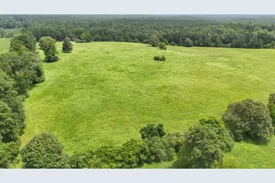 00 County Rd 2780, Colmesneil, TX 75938 - Photo 6