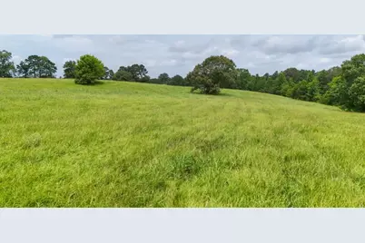 00 County Rd 2780, Colmesneil, TX 75938 - Photo 12
