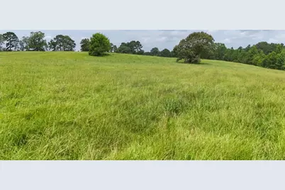 00 County Rd 2780, Colmesneil, TX 75938 - Photo 14