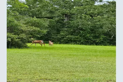 5924 Wild Horse Run, College Station, TX 77845 - Photo 6