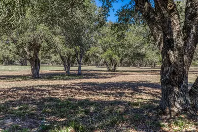 1585 Round Top Road, Round Top, TX 78954 - Photo 28