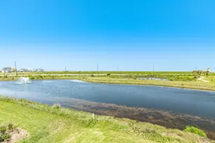 4135 Great Blue Heron Dr, Galveston, TX 77554 - Photo 20